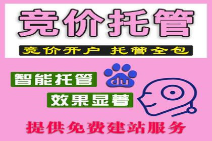 深度解析SEM代运营案例：品牌曝光度大揭秘